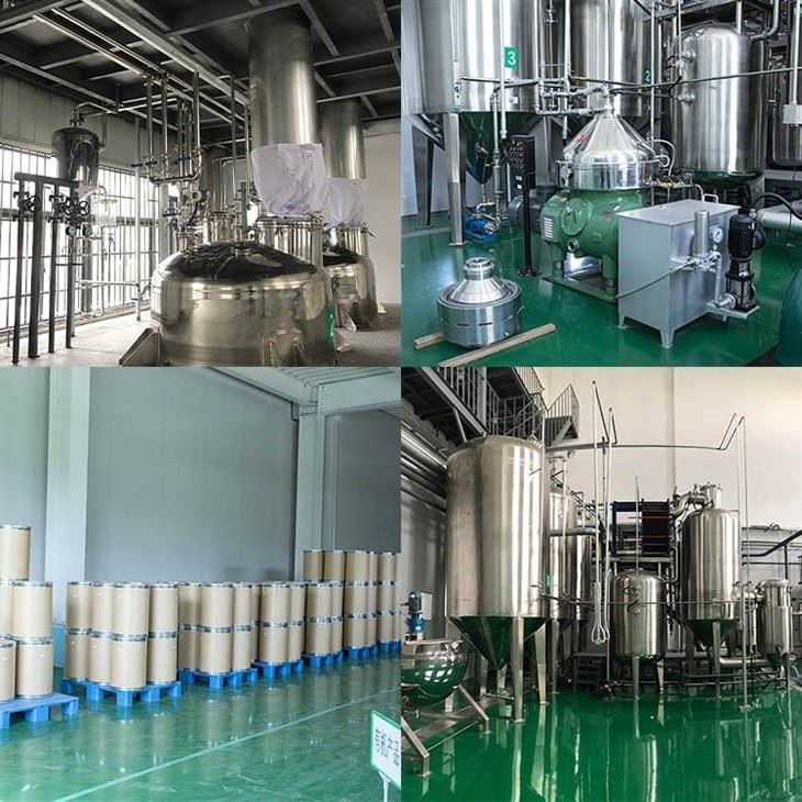 Codonopsis Powder factory
